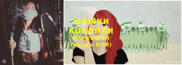 спиды Новозыбков