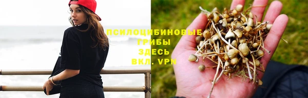 ALPHA-PVP Анжеро-Судженск