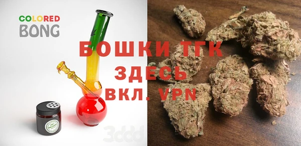 спиды Новозыбков