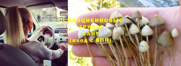 гашиш Нея