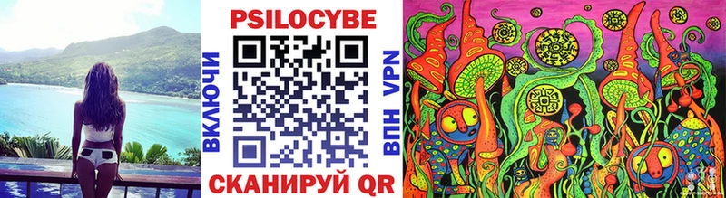 Псилоцибиновые грибы Psilocybine cubensis  закладки  Россошь 