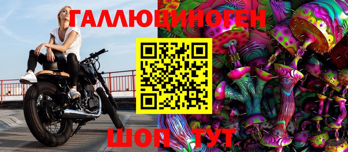 Галлюциногенные грибы GOLDEN TEACHER  Галлюциногенные грибы Magic Shrooms  Вход с VPN  цены   Россошь 