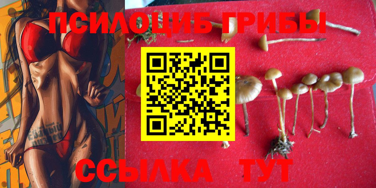 Галлюциногенные грибы GOLDEN TEACHER Россошь